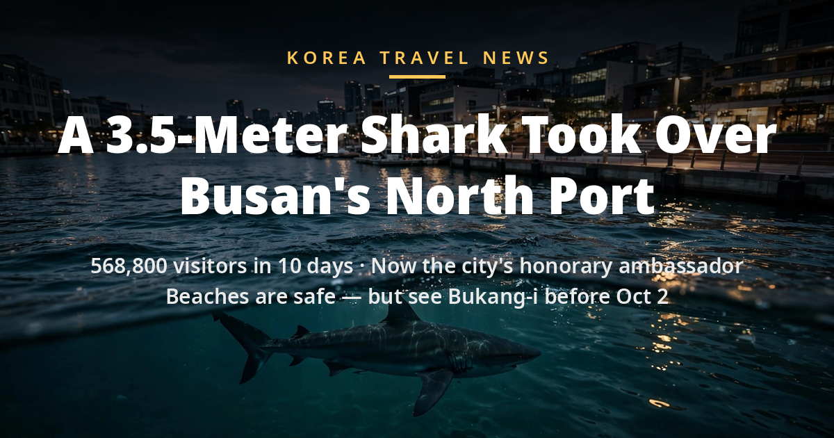 Illustration of a shark beneath the water at Busan's North Port waterfront at dusk, with headline text